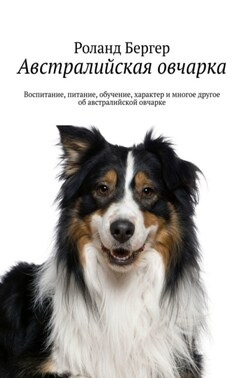 Австралийская овчарка. Воспитание, питание, обучение, характер и многое другое об австралийской овчарке