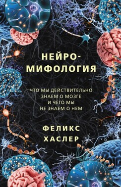 Нейромифология. Что мы действительно знаем о мозге и чего мы не знаем о нем