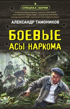 Боевые асы наркома