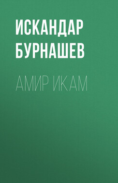 Амир Икам