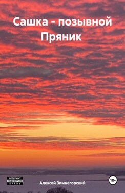 Сашка – позывной Пряник